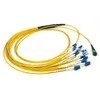 3M OM3 MPO MTP फाइबर ट्रंक केबल 10G पैच कॉर्ड