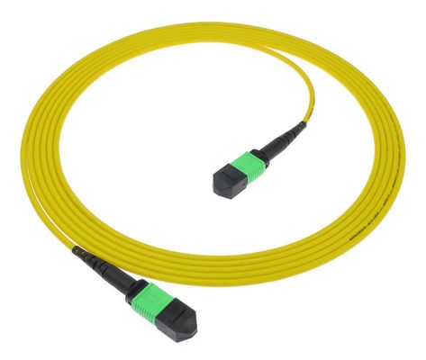 MPO/MTP Patch Cord PC and APC PVC/LSZH SM/MM