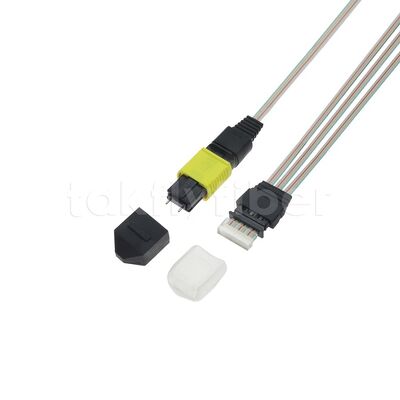 3x12F MTP - 36CH Fiber Array FA Assembly with High Transmission Rate Low Consumption and High Stability and Reliability