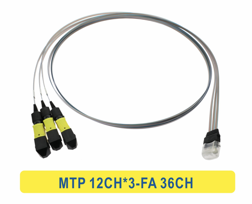 3*12F MTP से 36CH FA फाइबर ऐरे फाइबर ऑप्टिक पैचकॉर्ड केबल