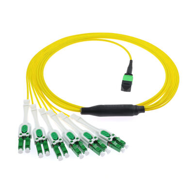 12F MPO-6x LC APC DX Uniboot SM पैचकोर्ड
