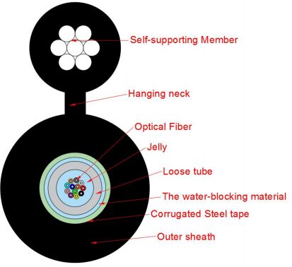 चित्र-8 प्रकार एक्सेस नेटवर्क केबल GYXTC8S-2-24X