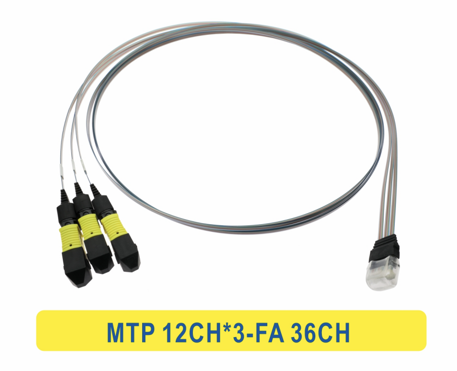 3*12F MTP से 36CH FA फाइबर ऐरे फाइबर ऑप्टिक पैचकॉर्ड केबल