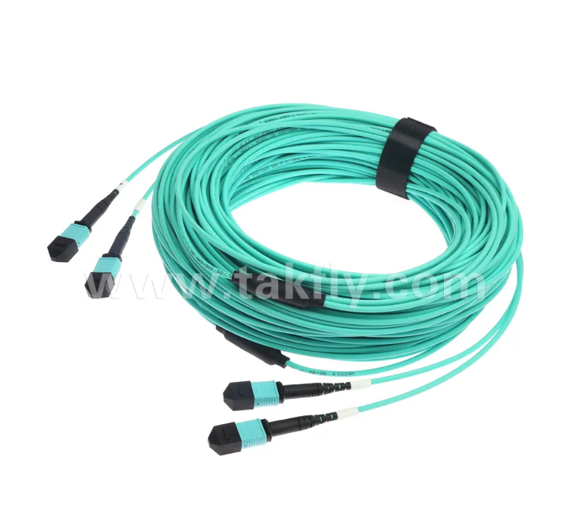 24-Core MPO/PC Mini Trunk Patch Cord – OM3 Multimode, 2×MPO Input to 2×MPO Output, Low Insertion Loss, for High-Density Data Center & 40G/100G SR4 Applications